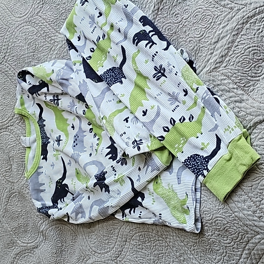 PJs Dino